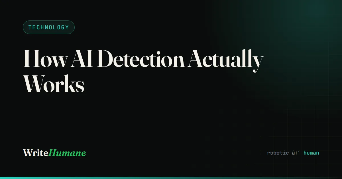 How AI Detection Actually Works